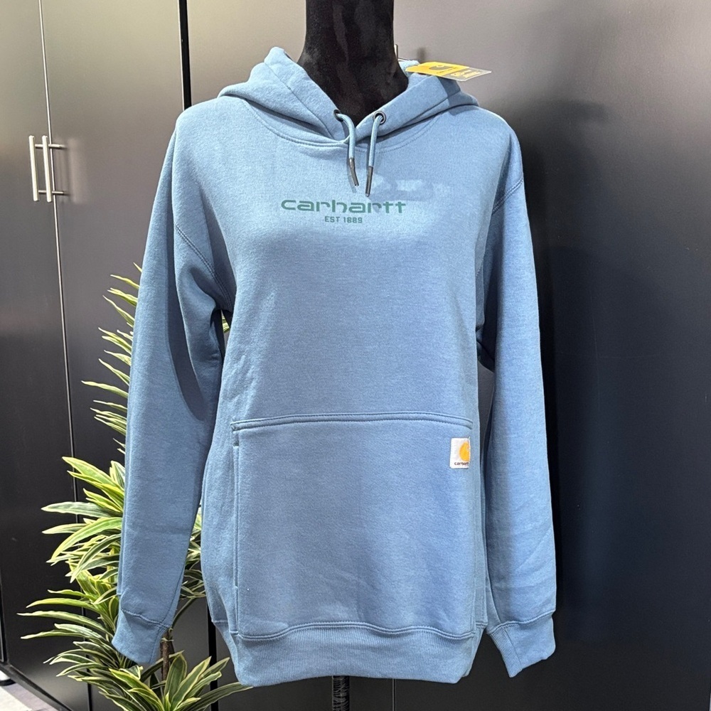 Carhartt Force Relaxed fit,lightweight,logo chest pullover hoodie,pocket